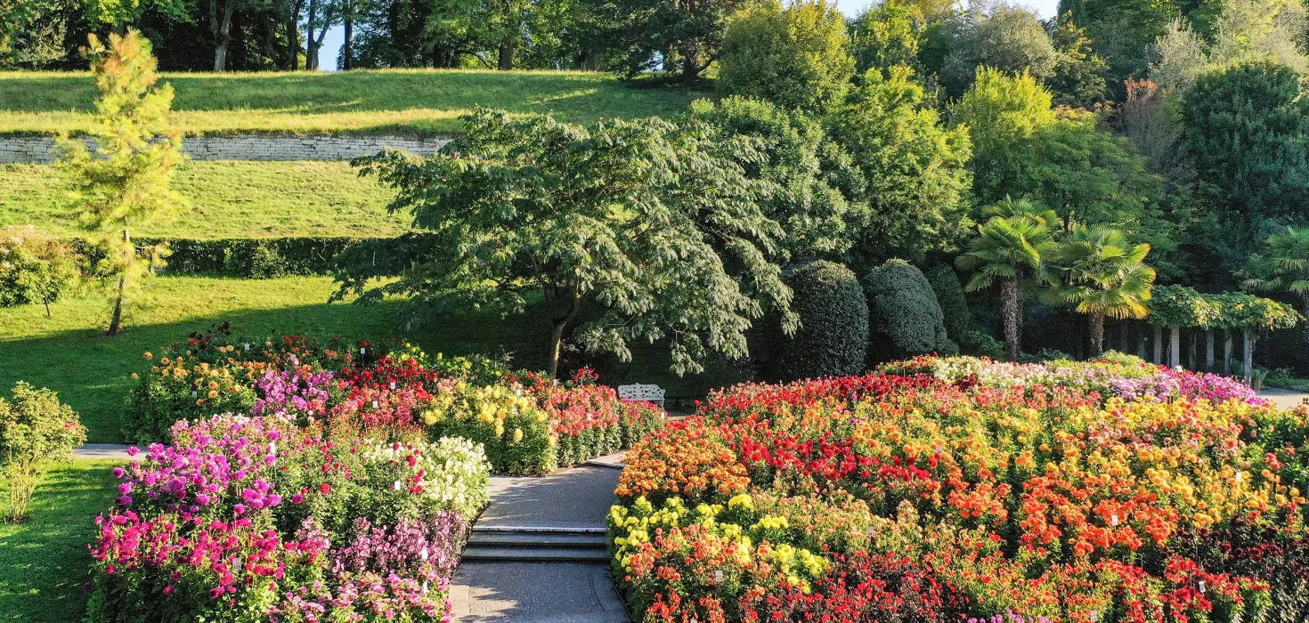 Insel Mainau / Marketing Luftaufnahme Dahliengarten