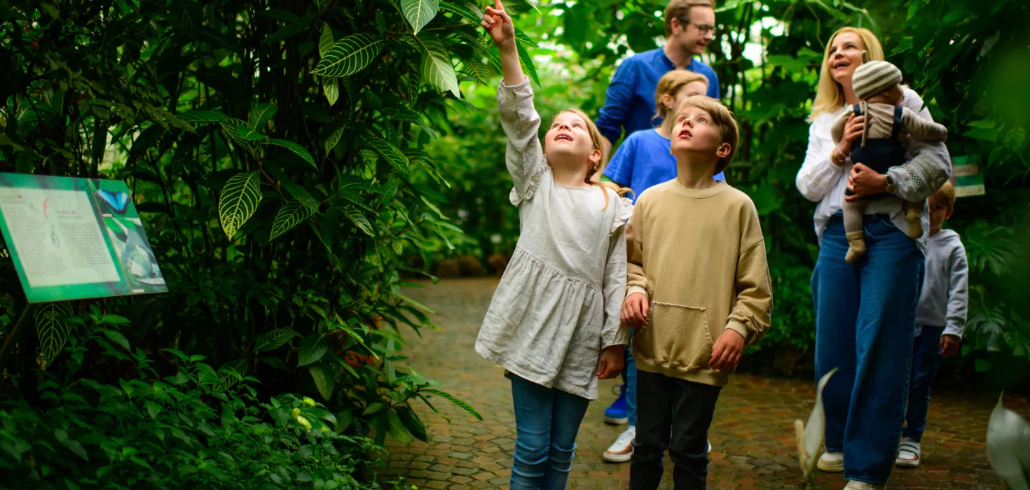 Gruppe von Erwachsenen und Kindern auf Entdeckungstour auf einem Weg im Schmetterlingshaus