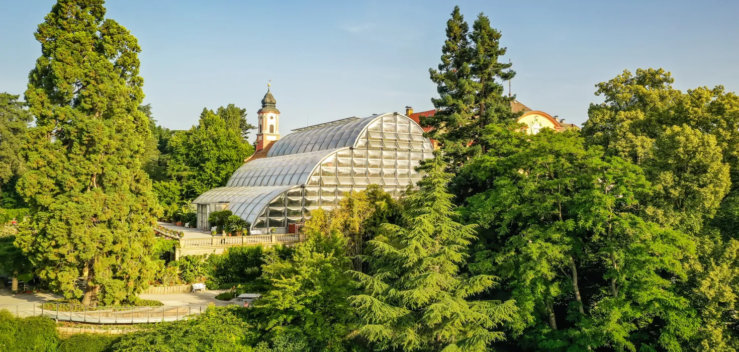 Insel Mainau / Marketing Luftaufnahme vom Palmenhaus der Insel Mainau