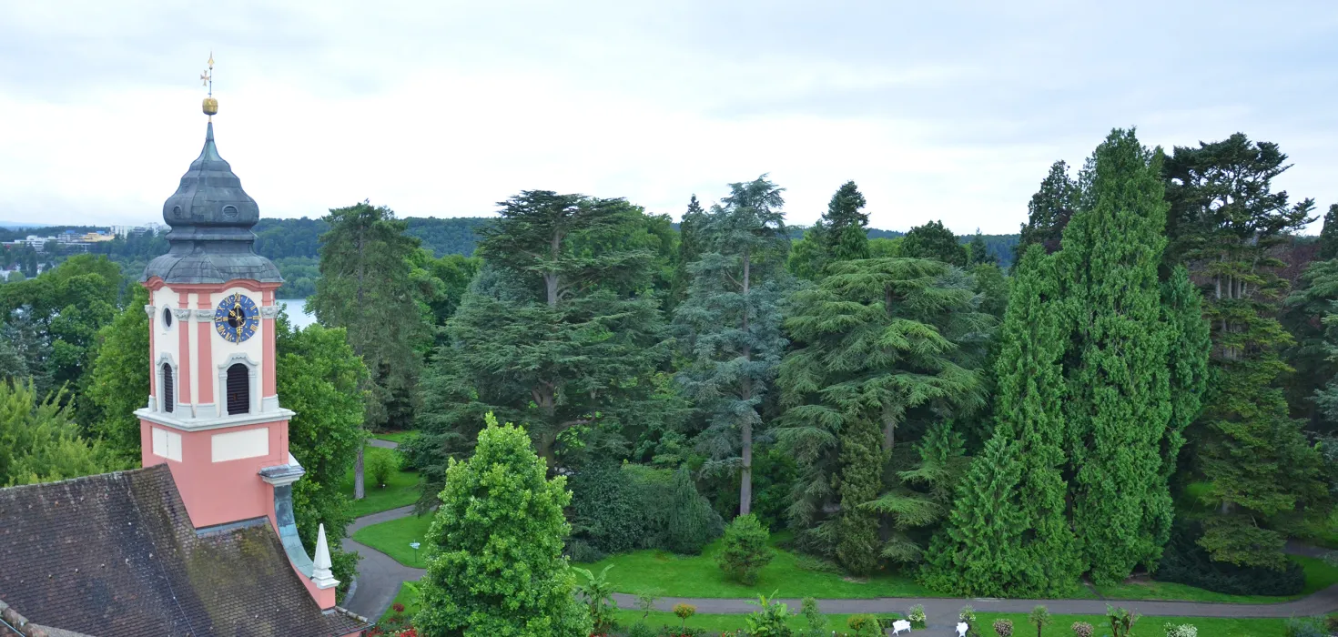 Luftaufnahme Blick auf das Arboretum der Insel Mainau