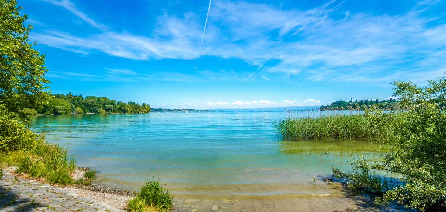 Flachwasserzone Bodensee