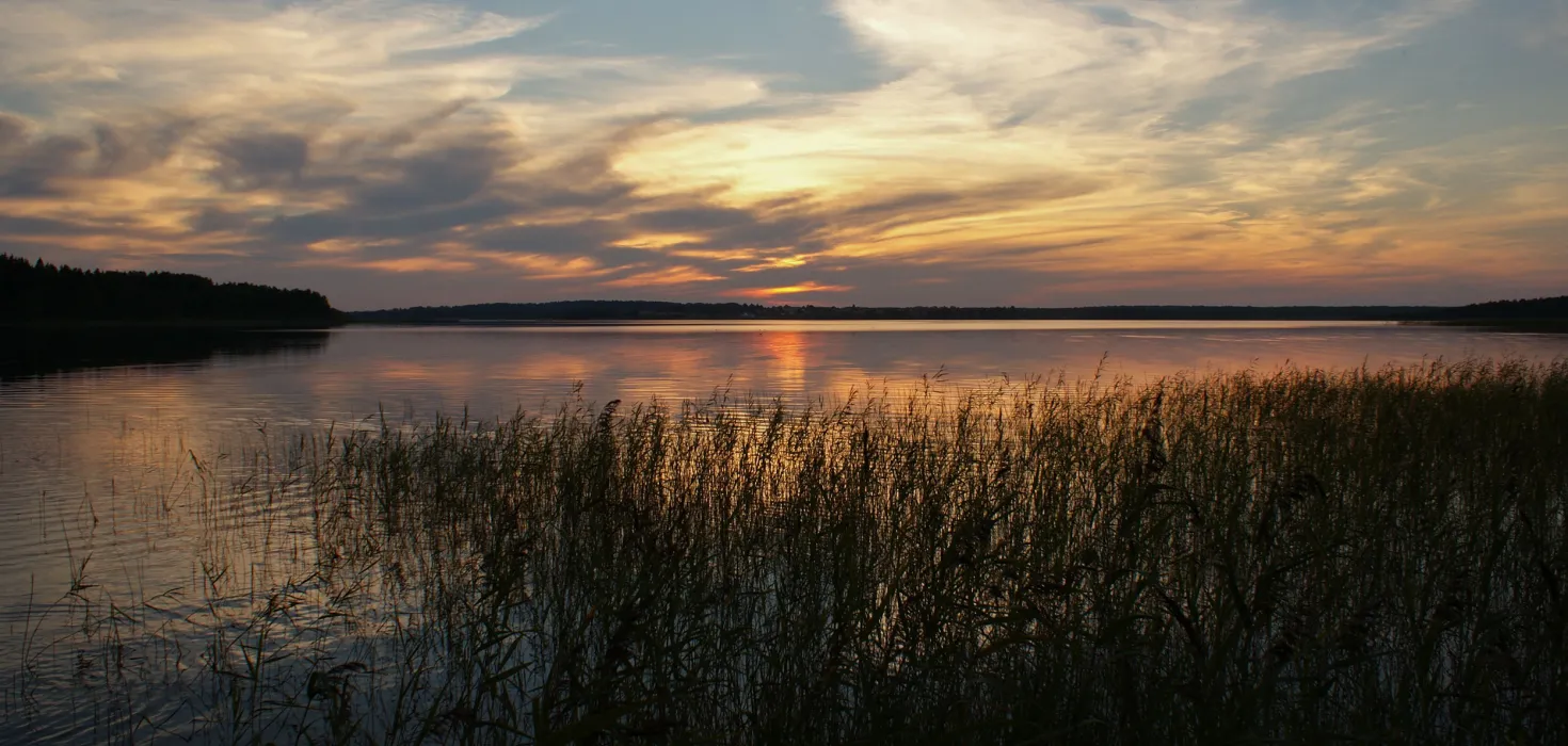 Bodenseeufer im Sonnenuntergang