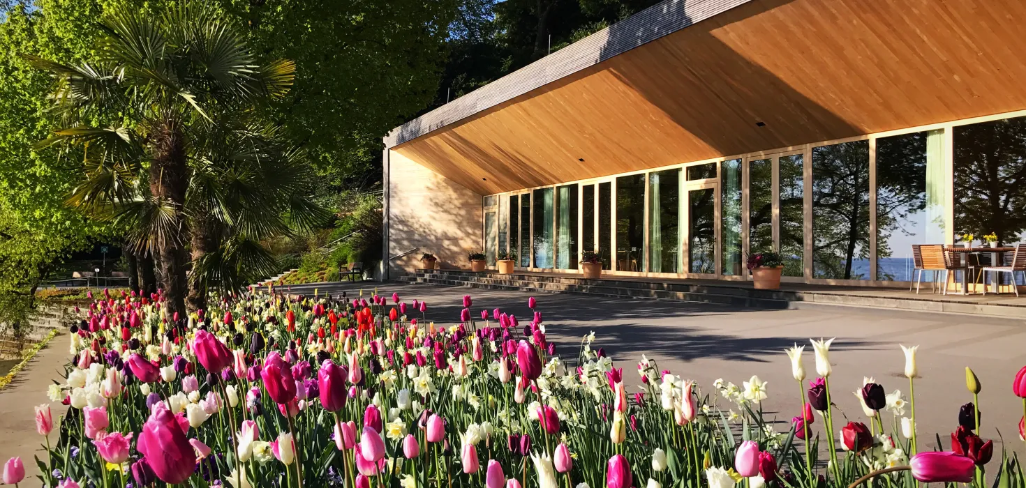 Blühende Tulpen vor dem Restaurant Comturey auf der Insel Mainau