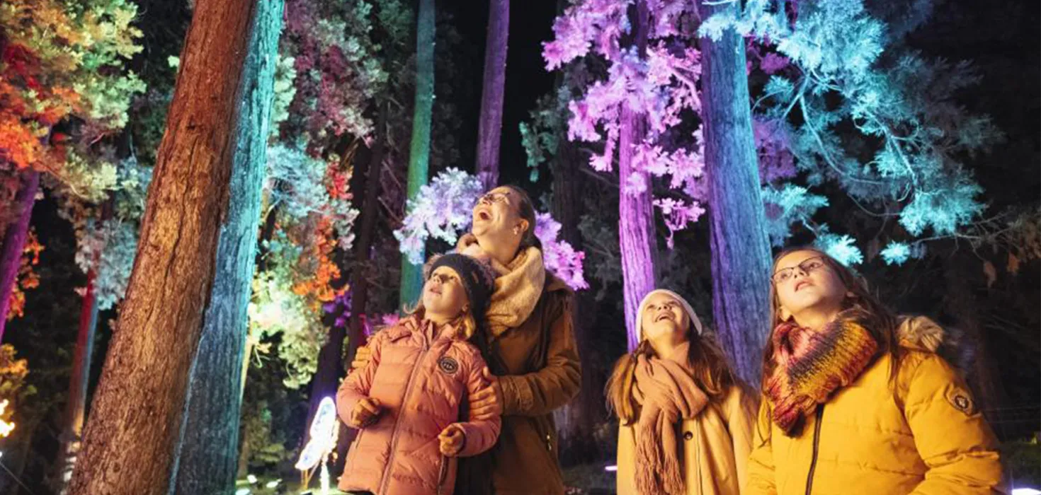 Christmas Garden Familie