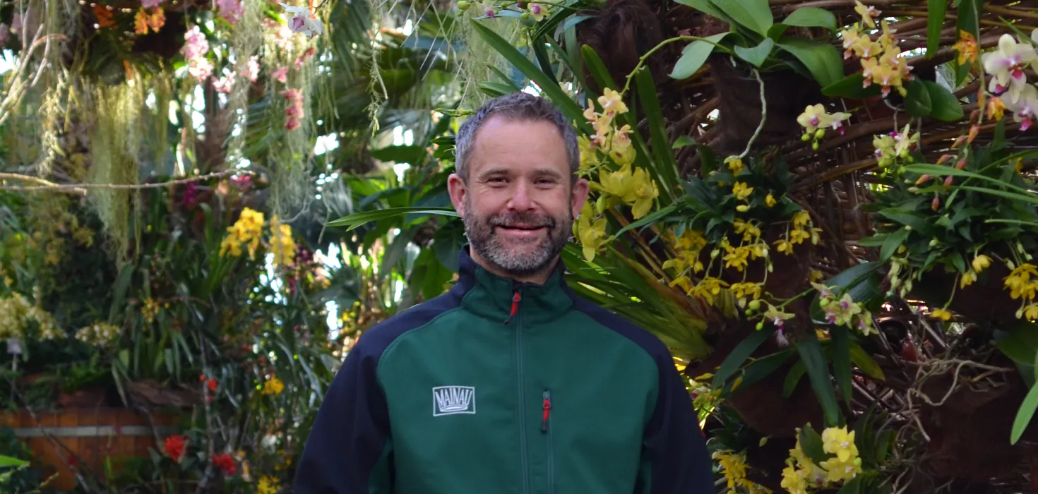 Stefan Reisch in der Orchideenschau im Palmenhaus auf der Insel Mainau
