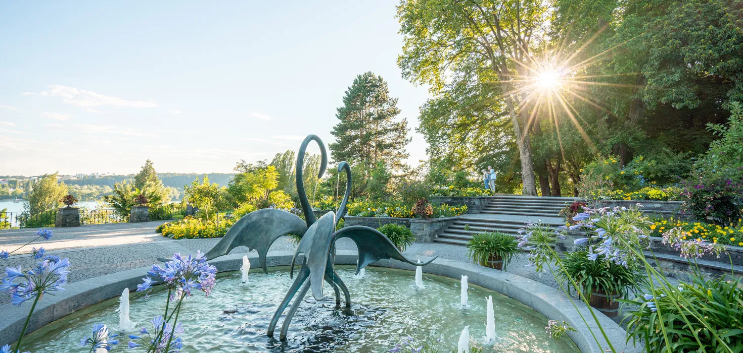 Sonne scheint durch Bäume auf einen Brunnen mit zwei Schwanenfiguren
