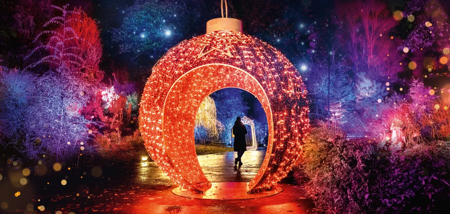 Christmas Garden Insel Mainau 2025 Eine rotbeleuchtete begehbare Weihnachtskugel in einer Landschaft, darin steht eine Person. Die Umgebung wird mit weihnachtlichen Lichtern angestrahlt