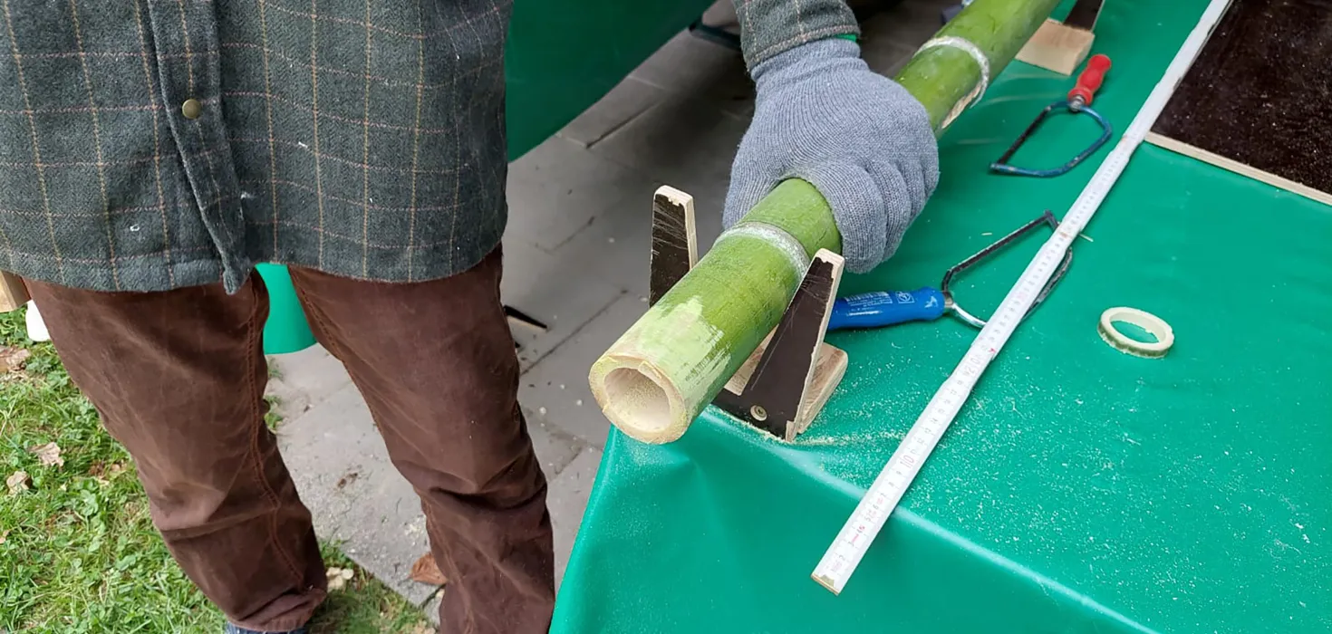 Person mit Handschuhen sägt ein grünes Bambusrohr auf einem Arbeitstisch, daneben liegen Werkzeuge wie Säge und Zollstock