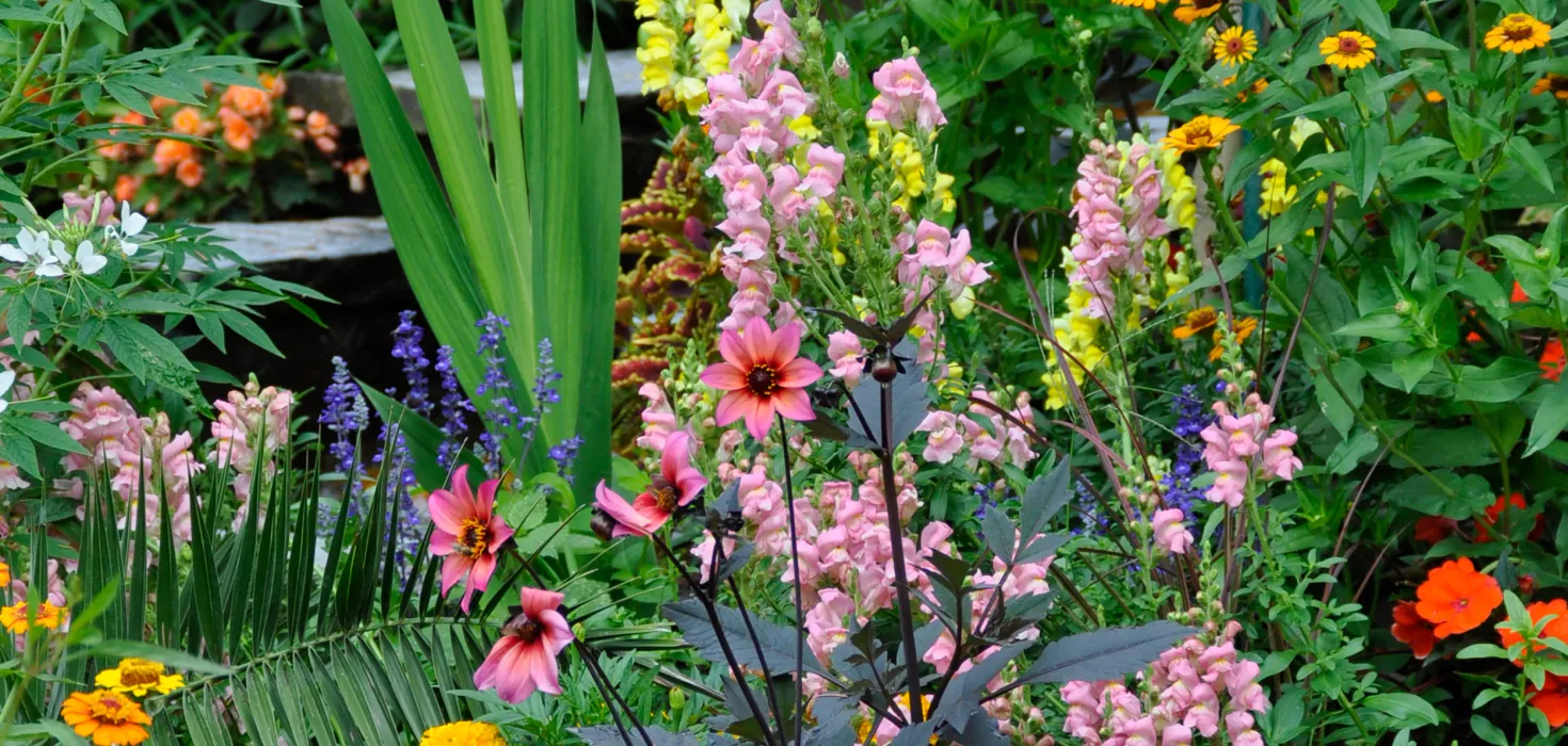 Farbenprächtige Sommerbepflanzung der Italienischen Blumen- und Wasserstiege mit einer Vielzahl blühender Sommerblumen.