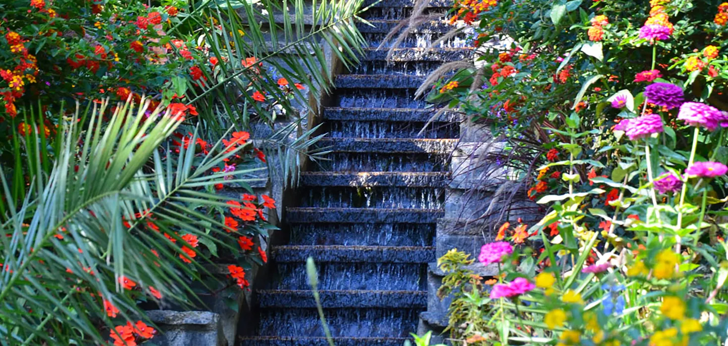 Wasserspiel inmitten der üppigen Septemberbepflanzung – eingerahmt von Palmen und leuchtenden Sommerblumen.
