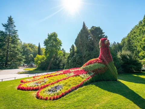 Blumenpfau auf der Insel Mainau