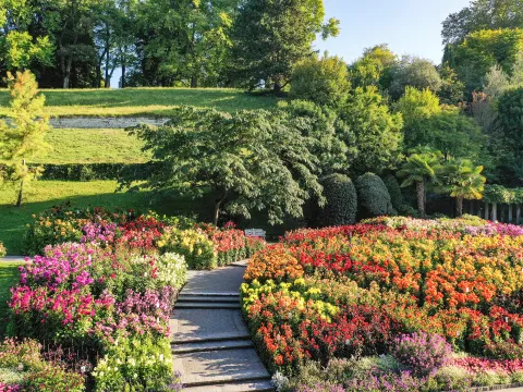 Insel Mainau / Marketing Luftaufnahme Dahliengarten