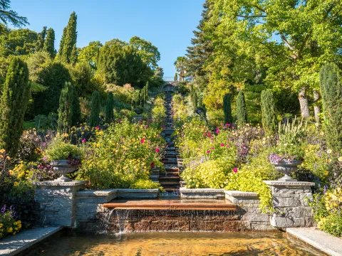 Insel Mainau / Black Forest Production Italienische Blumen-Wassertreppe auf der Insel Mainau mit Sommerbepflanzung