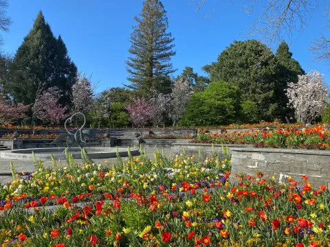 Frühling auf den Mediterran-Terrassen der Insel Mainau