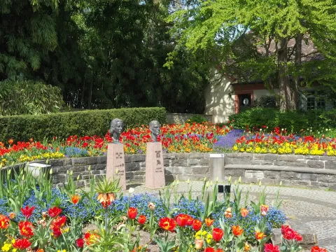 Insel Mainau / Marketing Sonja und Lennart Bernadotte Platz auf der Insel Mainau, umrahmt von Tulpen