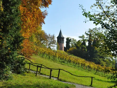 Schwedenturm auf der Insel Mainau im Herbst