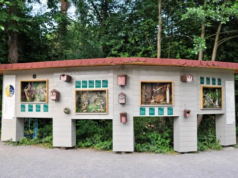 Außenwand mit mehreren großen Fenstern, in denen Insektenhotels und Naturbilder zu sehen sind, umgeben von Bäumen und Sträuchern