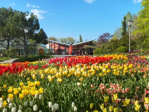 Schmetterlingshaus auf der Insel Mainau