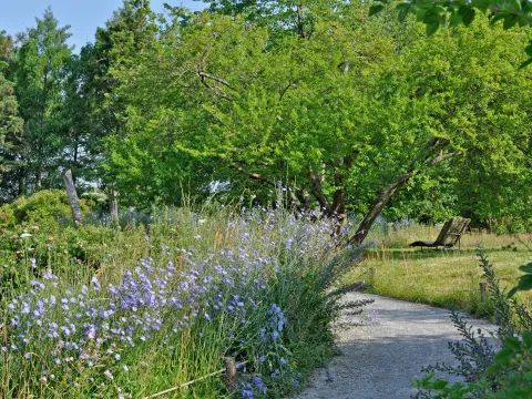Weggabelung im Insektengarten auf der Insel Mainau