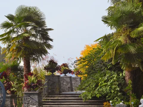 Herbst auf den Mediterran-Terrassen der Insel Mainau