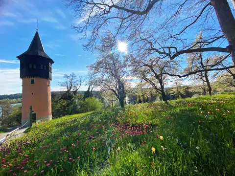 Schwedenturm auf der Insel Mainau im Frühling