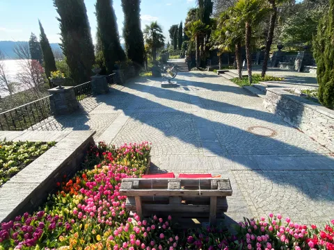 Tulpen-Installation auf den Mediterran-Terrassen auf der Insel Mainau 