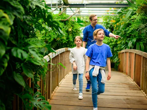 Familie läuft über eine Brücke im Schmetterlingshaus auf der Insel Mainau