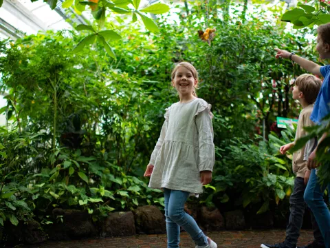 Kinder auf Entdeckungstour im Schmetterlingshaus