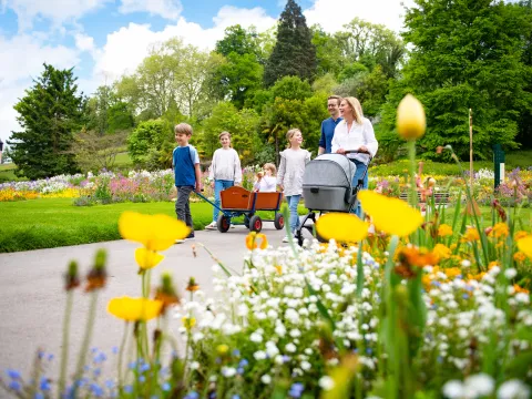 Familie mit zwei Kindern und Babywagen geht auf einem Weg durch den Dahliengarten der Insel Mainau mit gelben und weißen Blumen 