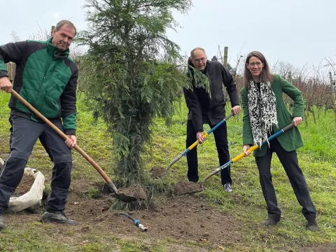 PR 2 GmbH / Petra Reinmöller Bettina Gräfin Bernadotte und Markus Zeiler pflanzen einen Küstenmammutbaum auf dem Arenenberg gepflanzt.
