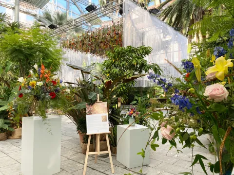 Herbstausstellung 'Grüne Räume' auf der Insel Mainau