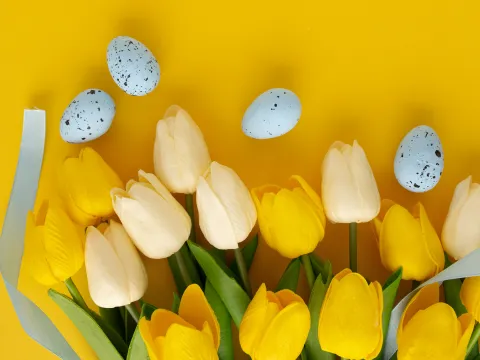 brunch ostern gelbe tulpen ostereier