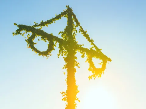 Mittsommerbaum