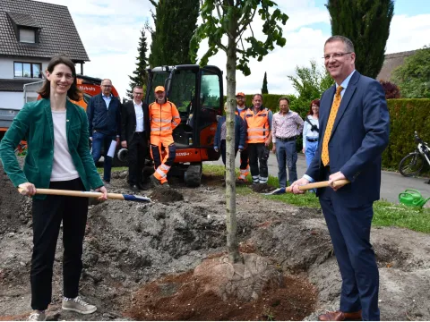 Mainau pflanzt Sommerlinde auf der Reichenau