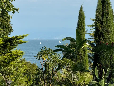 Seeblick Insel Mainau