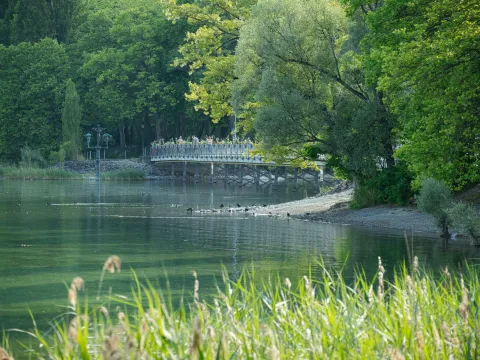 Brücke über dem Bodensee