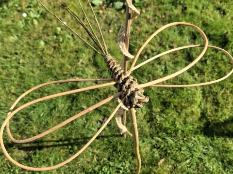 Mainau Akademie Seminare Weidengeflecht