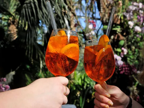 Apero im Blütenmeer