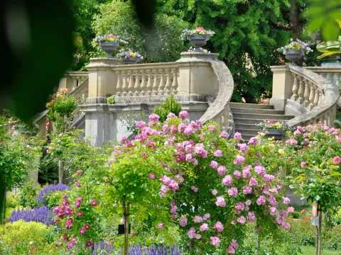 Rosengarten