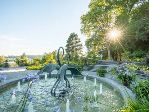 Sonne scheint durch Bäume auf einen Brunnen mit zwei Schwanenfiguren
