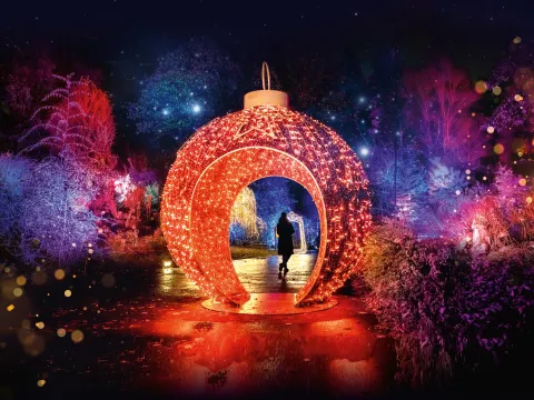 Christmas Garden Insel Mainau 2025 Eine rotbeleuchtete begehbare Weihnachtskugel in einer Landschaft, darin steht eine Person. Die Umgebung wird mit weihnachtlichen Lichtern angestrahlt