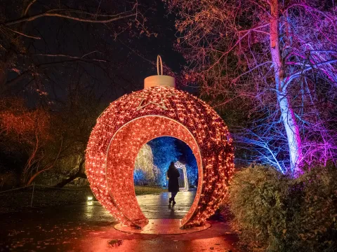 Christmas Garden / Michael Clemens In einem Park läuft eine Person durch einen Tunnel in Form einer roten Christbaumkugel