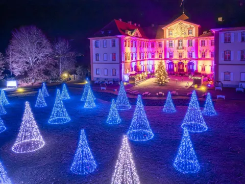 Lichtinstallationen vor dem Schloss Mainau beim Christmas Garden