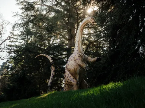 Dinosaurierfigur mit langem Hals steht auf einer Wiese zwischen Bäumen, von hinten von Sonnenlicht durchleuchtet.