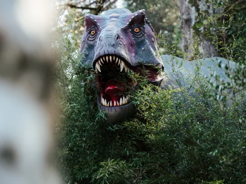 Kopf einer Dinosaurierfigur mit geöffnetem Maul ragt zwischen dichtem Gebüsch hervor, aufgenommen in einem bewaldeten Gartenbereich.