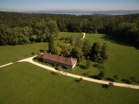 Luftaufnahme eines Hauses inmitten grüner Wiesen und Bäume, mit geschwungenem Weg und Wald, im Hintergrund ein See