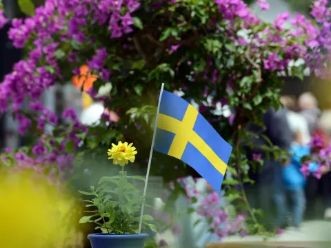 Kleiner schwedischer Papierflagge in einem Blumentopf mit gelber Blume im Vordergrund; dahinter violett bluhende Pflanzen und unscharfe Menschen auf einer Veranstaltung im Freien. 