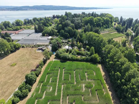 Drohnenaufnahme der Insel Mainau im Bodensee mit einem Maislabyrinth im Vordergrund, den Gärtnereigewächshäusern und Baumbeständen sowie dem Bodensee im Hintergrund.