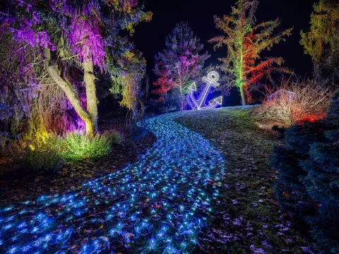 Ein nächtlich beleuchteter Parkweg führt durch farbig angestrahlte Bäume und Sträucher zu einer großen Lichtinstallation in Form eines Ankers. Der Weg ist mit zahlreichen blauen Lichtpunkten illuminiert.