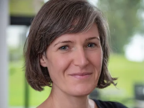 Portrait Hanstein 